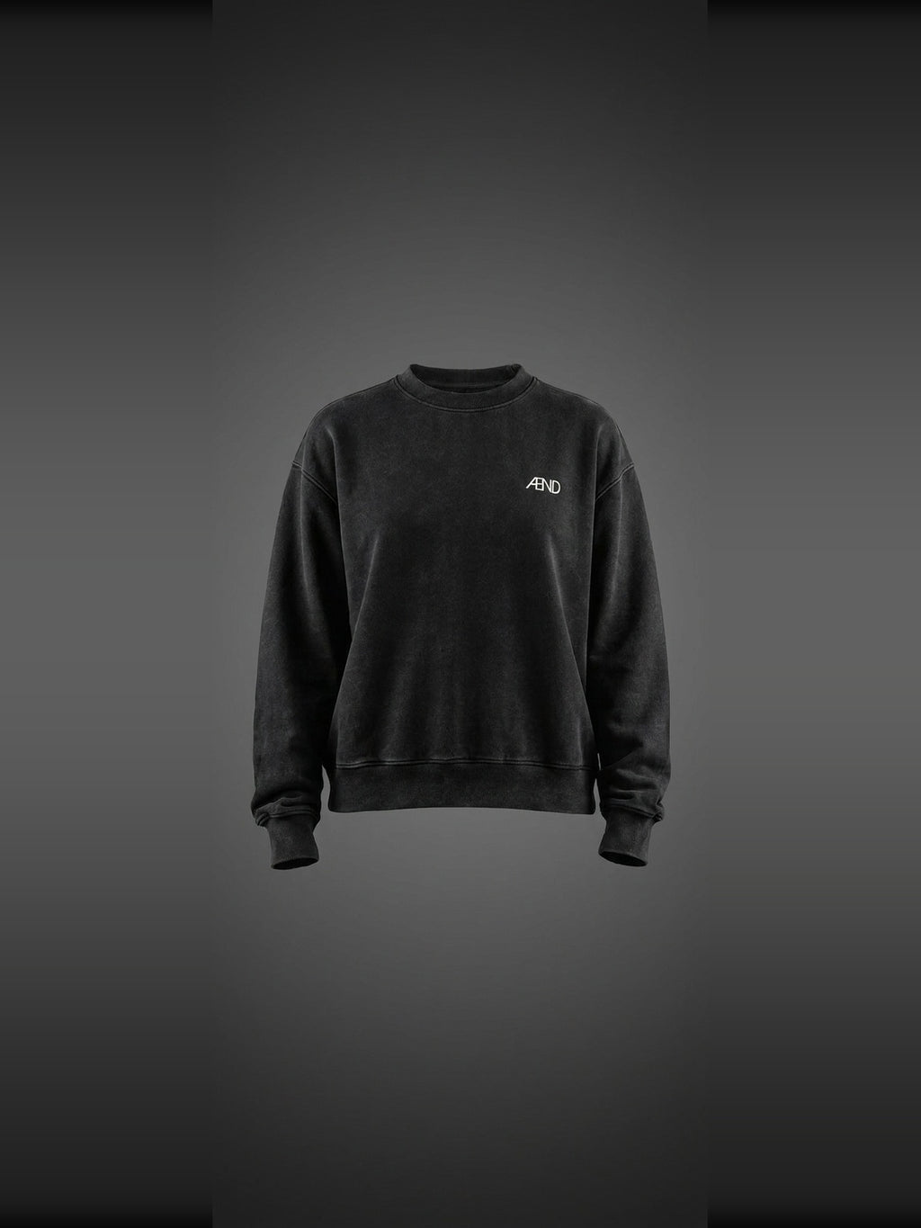 ÆND Sweatshirt — Women — Vintage Black